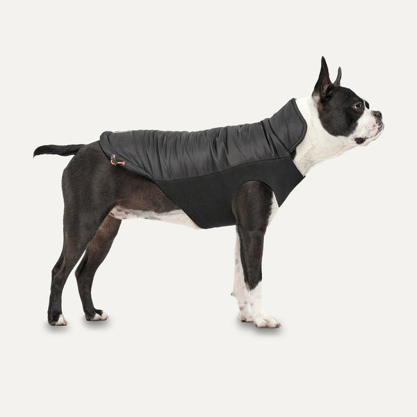 Goo-eez Mock Neck Signature Wrap Dog Jacket, Black