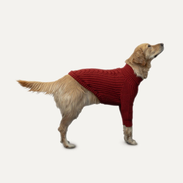 Goo-eez Heavy Knit Dog Sweater, Red