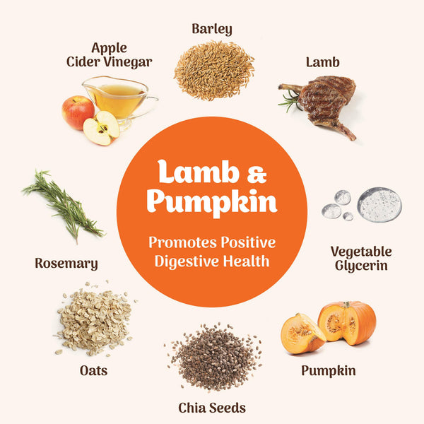 Northern Biscuit Softies Lamb & Pumpkin Dog Treats