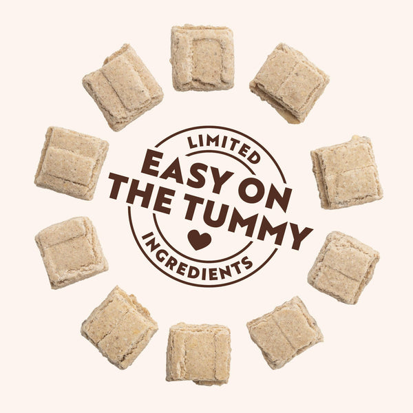 Northern Biscuit Softies Lamb & Pumpkin Dog Treats