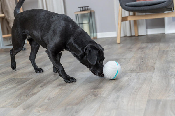 Trixie Treat Tumbler Snack Ball Dog Toy, Gray