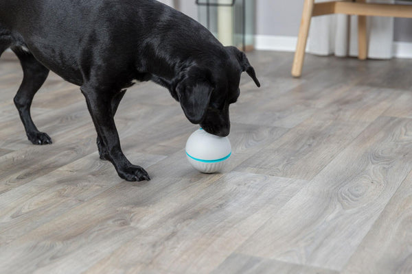 Trixie Treat Tumbler Snack Ball Dog Toy, Gray