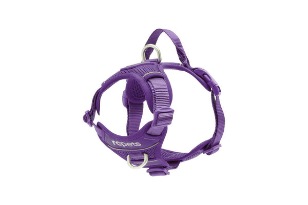 RC Pets Momentum Control Dog Harness, Purple