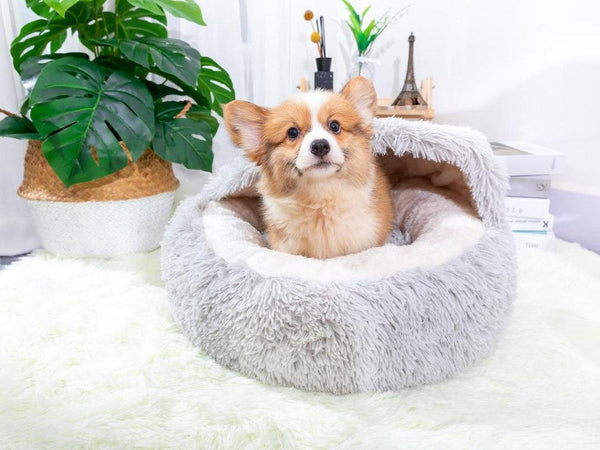 PetPals Igloo Pet Bed, Pearl Grey