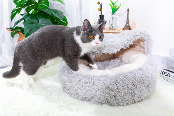 PetPals Igloo Pet Bed, Pearl Grey