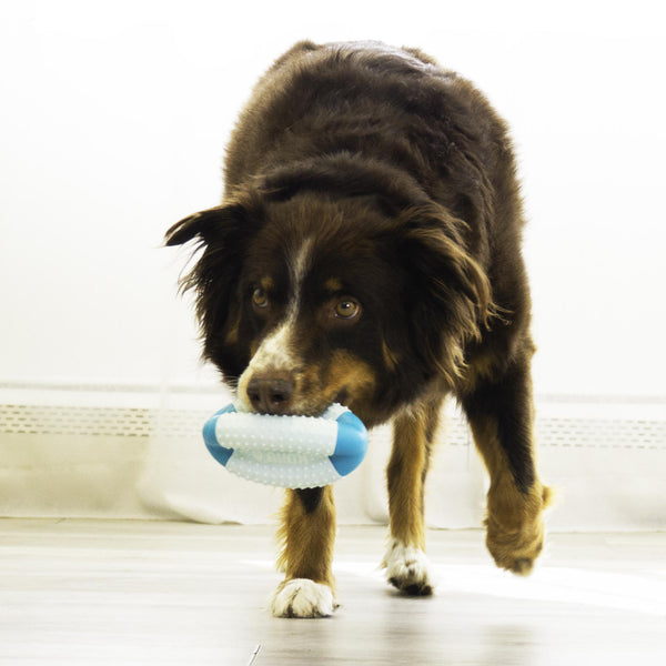 KONG Dental Duets Football Dog Toy