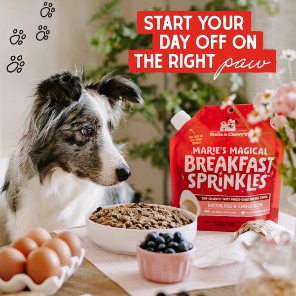 Stella & Chewy's Marie's Magical Breakfast Sprinkles Bacon, Egg, & Cheese Freeze-Dried Dog Food Topper