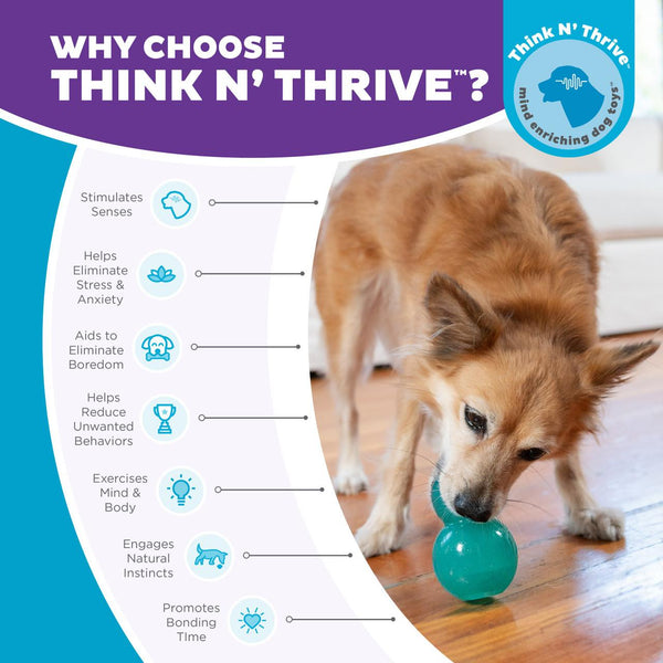 Outward Hound Double-Tuff Interactive Treat Stuffer Durable Chew Dog Toy, Blue