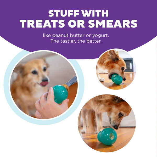 Outward Hound Double-Tuff Interactive Treat Stuffer Durable Chew Dog Toy, Blue