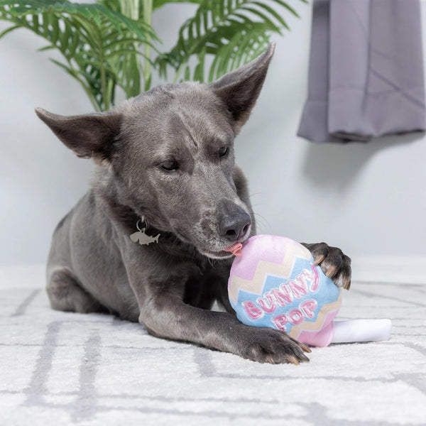 Huxley & Kent Power Plush Bunny Pop Dog Toy