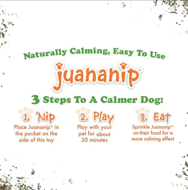 Doggijuana Tuffer Chewer Donut Refillable Juananip Dog Toy