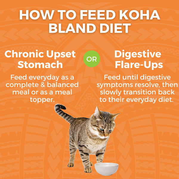KOHA Limited Ingredient Bland Diet Chicken & White Rice Wet Cat Food Pouch
