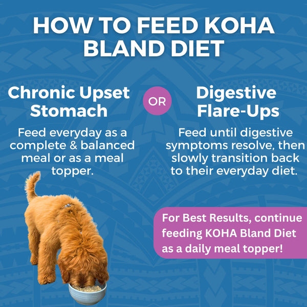 KOHA Limited Ingredient Bland Diet Lamb & White Rice Wet Dog Food Pouch