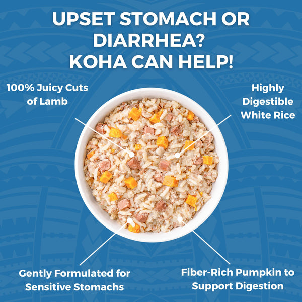 KOHA Limited Ingredient Bland Diet Lamb & White Rice Wet Dog Food Pouch