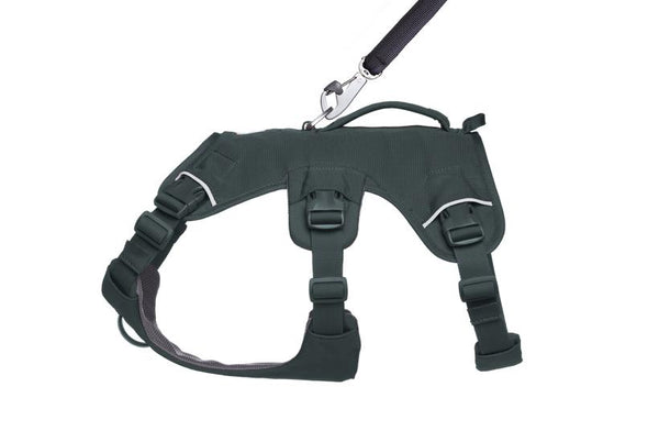 Ruffwear Web Master Harness with Handle for Dogs, Basalt Gray
