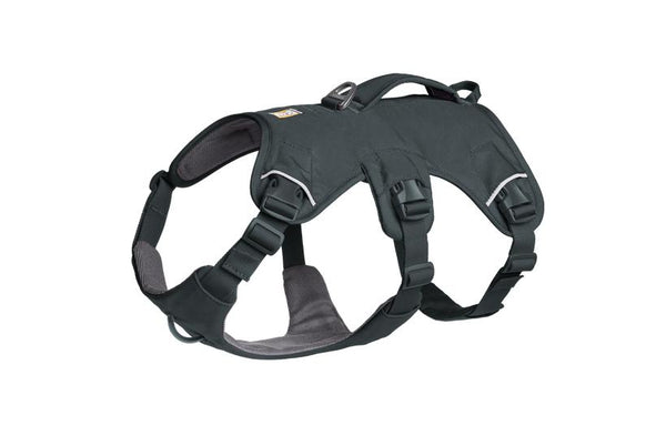 Ruffwear Web Master Harness with Handle for Dogs, Basalt Gray