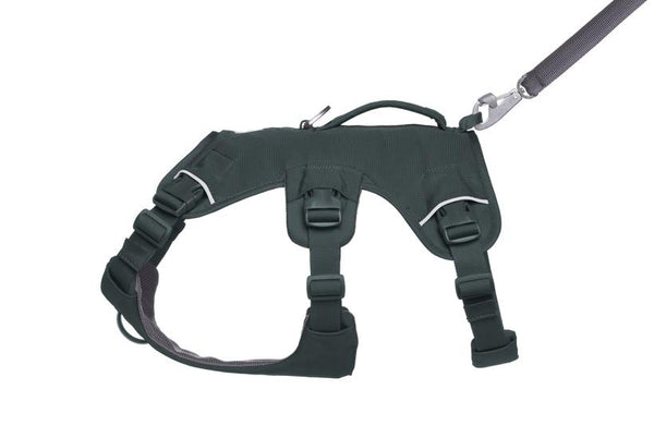 Ruffwear Web Master Harness with Handle for Dogs, Basalt Gray