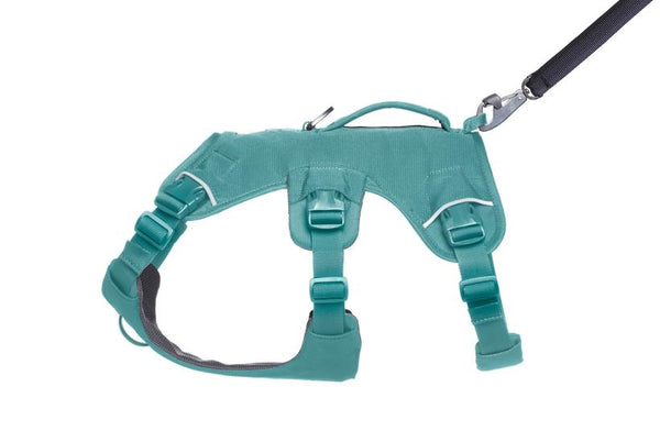 Ruffwear Web Master Harness with Handle for Dogs, River Rock Green