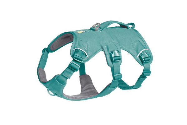 Ruffwear Web Master Harness with Handle for Dogs, River Rock Green