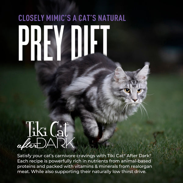 Tiki Cat After Dark Shreds Turkey & Turkey Liver in Broth Wet Cat Food Can