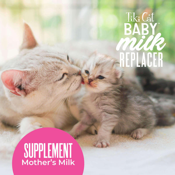 Tiki Cat Baby Milk Replacer with Goat's Milk Wet Cat Food Pouch