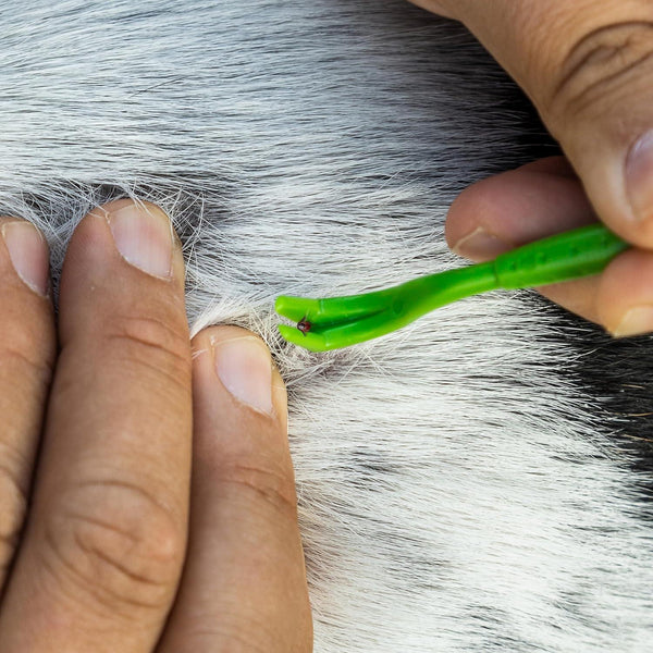 TickCheck Tick Remover Hook