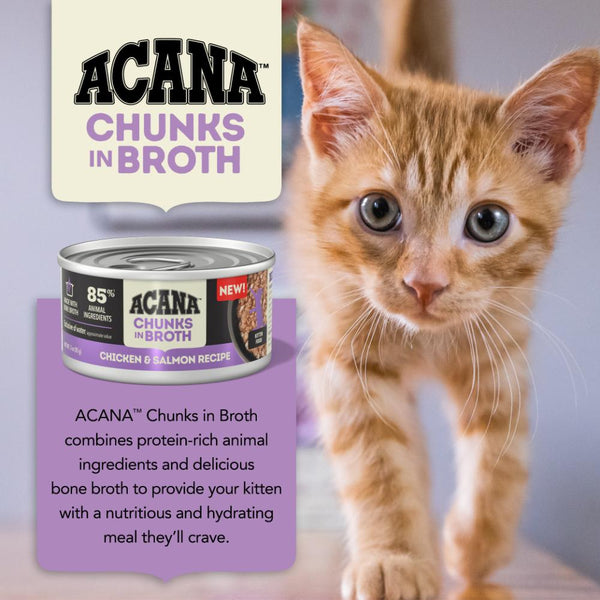 ACANA Chunks in Broth Chicken & Salmon Recipe Kitten Wet Cat Food Can (CA)