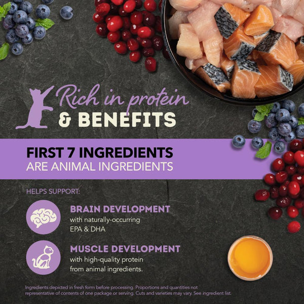 ACANA Chunks in Broth Chicken & Salmon Recipe Kitten Wet Cat Food Can (CA)