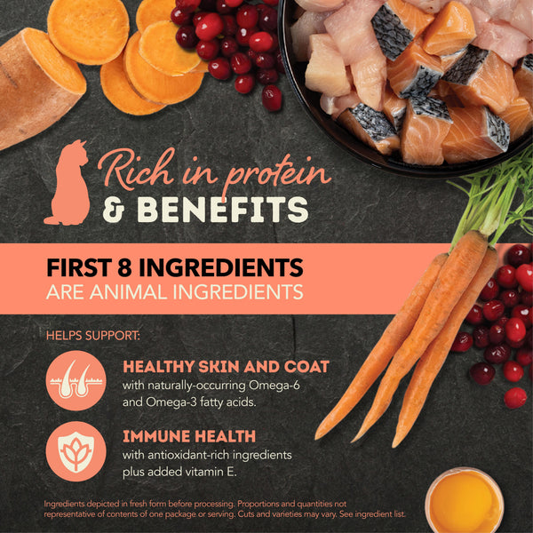 ACANA Chunks in Broth Salmon & Chicken Recipe Wet Cat Food Can (CA)