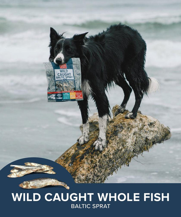 Plato Wild Caught Baltic Sprat Fish Dog Treats