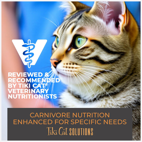 Tiki Cat Solutions Dental Mousse Chicken in Broth Wet Cat Food Pouch