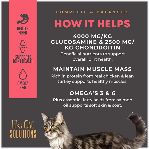 Tiki Cat Solutions Mobility Chicken & Turkey Dry Cat Food