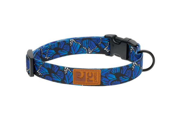 RC Pets Eco Clip Dog Collar, Flutter