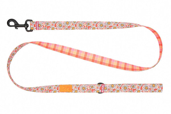 RC Pets Eco Dog Leash, Daisy Joy/Gleeful Gingham
