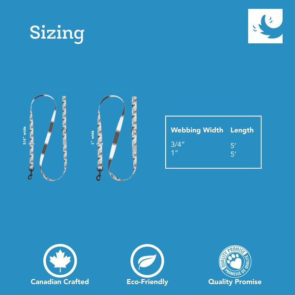 RC Pets Eco Dog Leash, Flutter/Sapphire Haze