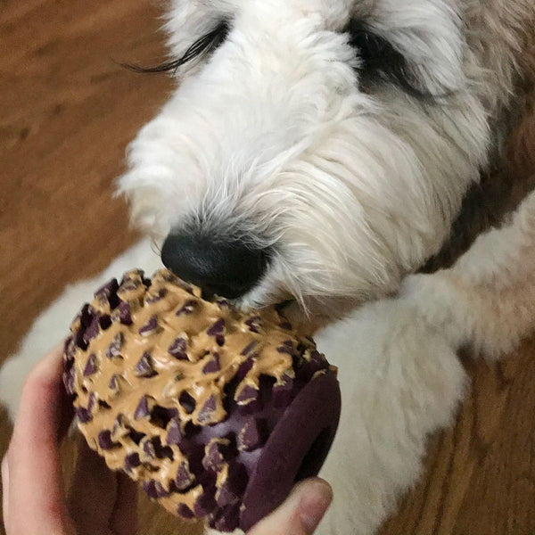 Tall Tails Enrichment Antler & Pinecone Dog Toy, Medium