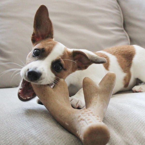Tall Tails Enrichment Antler & Pinecone Dog Toy, Medium