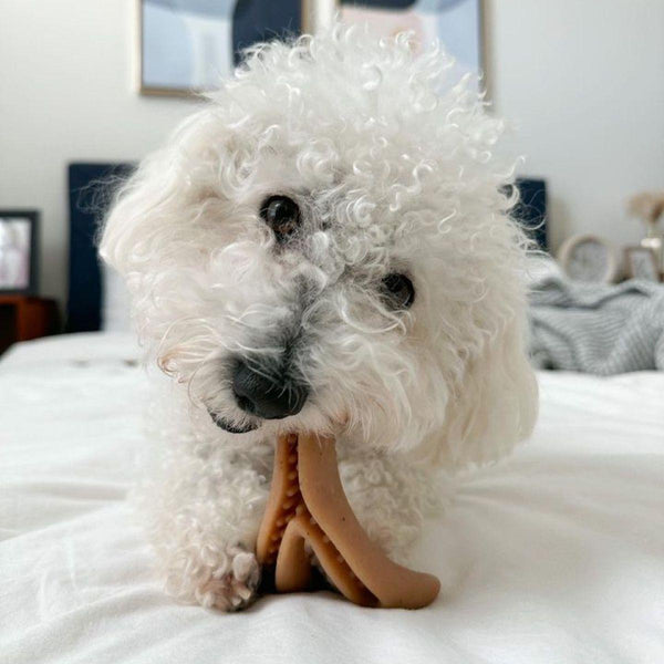 Tall Tails Enrichment Antler & Acorn Dog Toy, Small