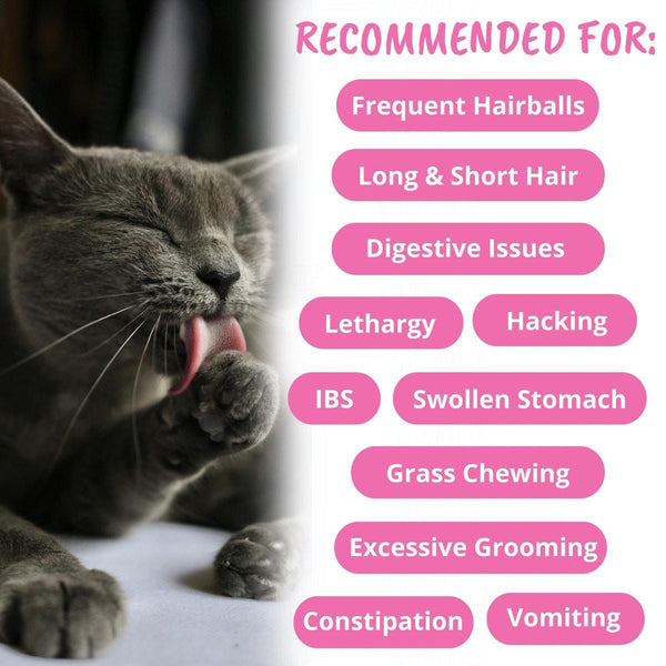 Under the Weather Hairball Support Soft Chews Cat Supplement