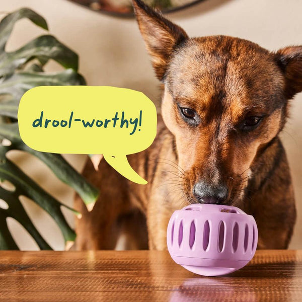 Woof The Pupsicle Treat Dispensing Dog Toy, Lavender