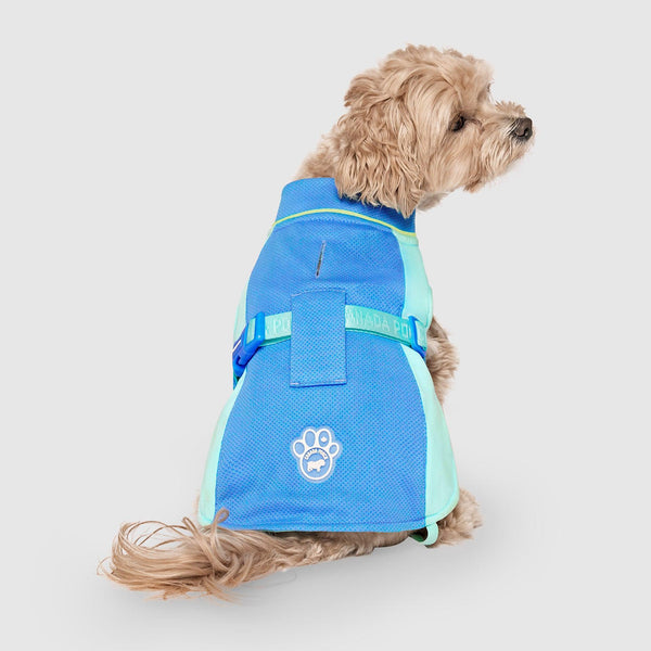 Canada Pooch Max Chill Cooling Vest for Dogs, Blue