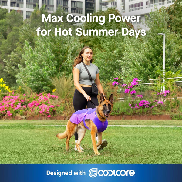 Canada Pooch Max Chill Cooling Vest for Dogs, Purple