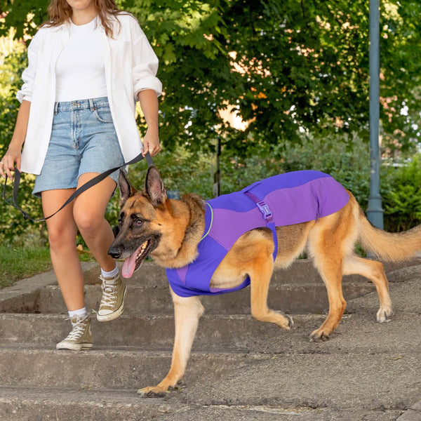 Canada Pooch Max Chill Cooling Vest for Dogs, Purple