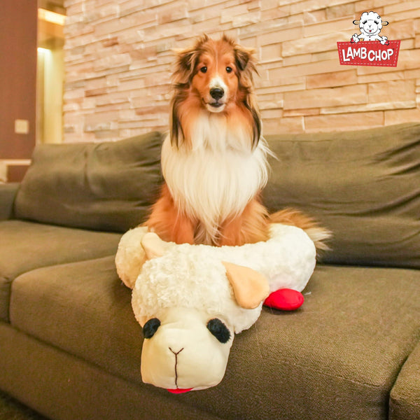 Multipet Lamb Chop Dog Bed