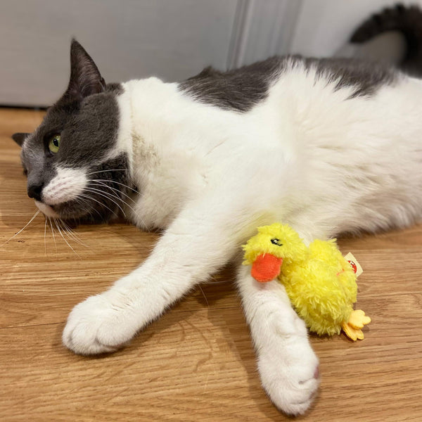 Ethical Spot Love the Earth Barnyard Bird Cat Toy, Assorted