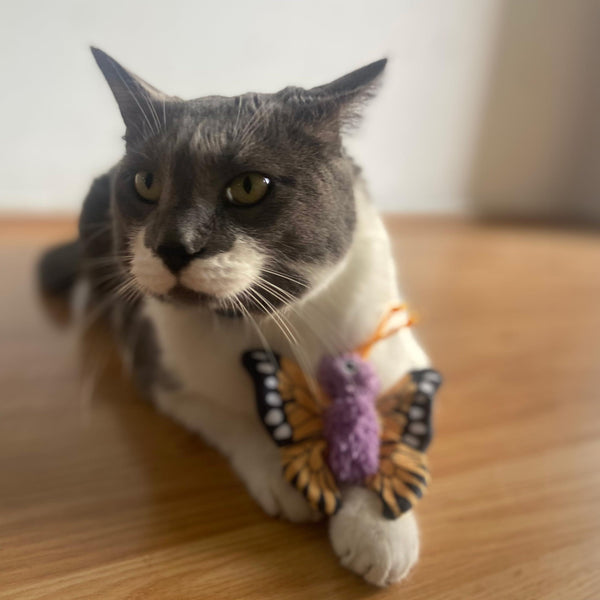 Ethical Spot Love the Earth Butterfly Cat Toy, Assorted