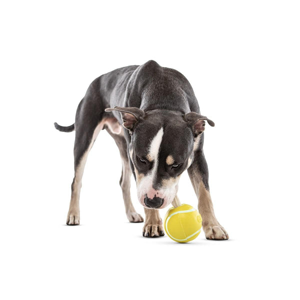 GURU Tennis Treat Ball Dog Toy