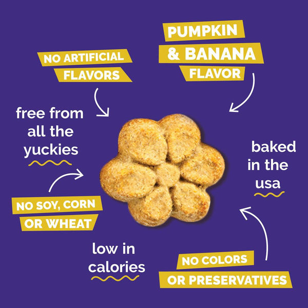 Fruitables Pumpkin & Banana Dog Treats