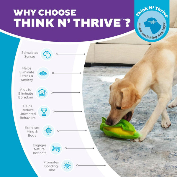 Outward Hound Hide N' Find Corn Puzzle Dog Toy