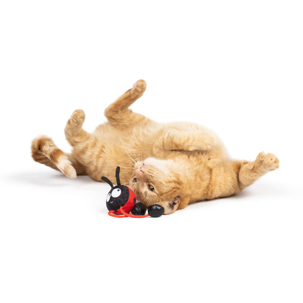 Huxley & Kent Chirpy Ladybug Cat Toy